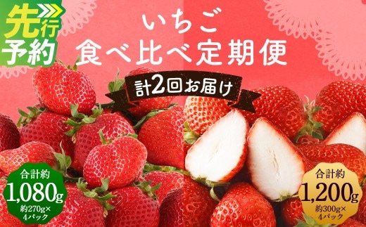 【全2回定期便】数量限定 フルーツ定期便 いちご 2品種 食べ比べ ( あまおう ・ かおり野 ) 合計約2.28kg 【2027年1月下旬から3月下旬まで順次発送予定】