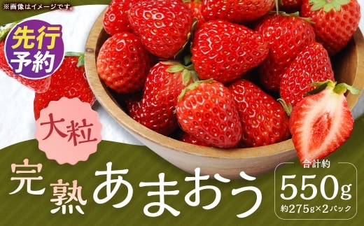 完熟あまおう(大粒サイズ)275g×2パック 計約550g【2026年12月下旬から2027年3月下旬頃発送予定】 苺 いちご イチゴ 果物 くだもの フルーツ 国産 冷蔵
