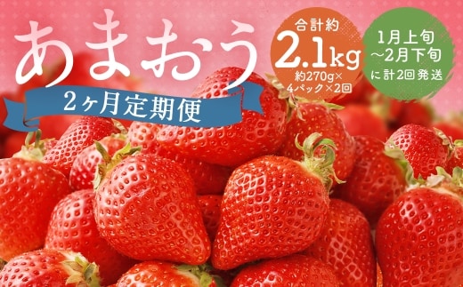 【 2ヶ月定期便 】 福岡県産 あまおう 約1kg ( 約270g × 4P ) いちご イチゴ 苺 果物 くだもの フルーツ 果実 果肉 国産 定期 定期配送 冷蔵 【 2027年1月上旬~2月下旬まで順次発送予定 】