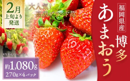 いちご「あまおう」 約270g×4パック 合計約1,080g 苺 果物 フルーツ 【2026年2月上旬~3月下旬順次発送予定】