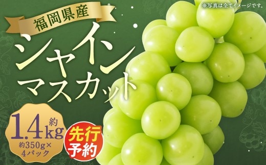 先行予約 シャインマスカット 約1.4kg ぶどう 葡萄 ブドウ マスカット 果物 フルーツ 【2027年8月下旬~9月下旬発送】