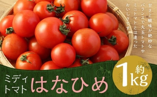 【 7月~11月発送不可 】 ミディトマト はなひめ 1kg とまと トマト 野菜 やさい フルティカ オリジナルブランド 国産 福岡県産