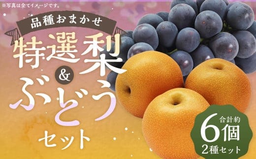 数量限定 よらん野 特選 梨 と ぶどう セット(品種おまかせ) 【2026年8月上旬~9月下旬発送】 幸水 豊水 新興 葡萄 巨峰 ピオーネ 果物 フルーツ