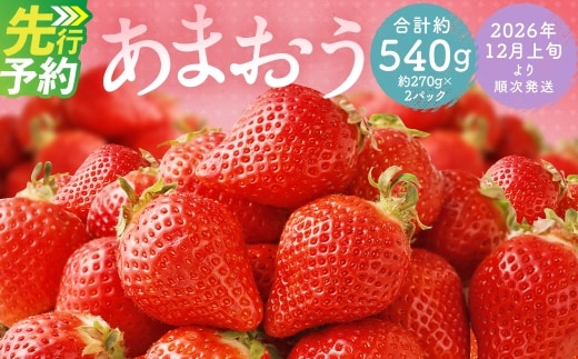 福岡県産 あまおう 合計約540g 約270g×2パック 【2026年12月上旬~2027年1月下旬迄発送】