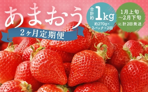 【 2ヶ月定期便 】 福岡県産 あまおう 約540g ( 約270g × 2P ) いちご イチゴ 苺 果物 くだもの フルーツ 果実 果肉 国産 定期 定期配送 冷蔵 【 2027年1月上旬~2月下旬まで順次発送予定 】