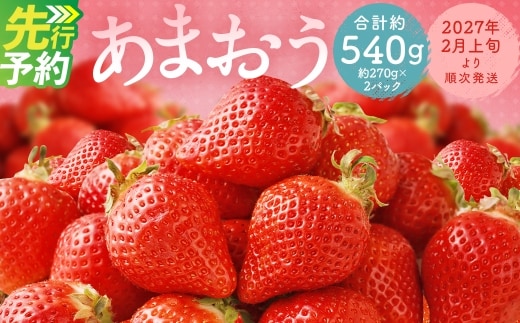 福岡県産 あまおう 合計約540g 約270g×2パック 【2027年2月下旬~3月下旬迄発送】