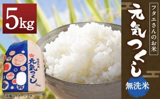 フタエさんのお米 元気つくし 5kg 無洗米 うるち米 ごはん 白米
