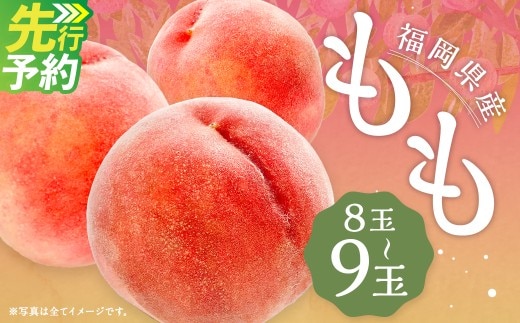 桃 8玉~9玉 福岡県産 産地直送 フルーツ 果物 もも ピーチ 果物 フルーツ お取り寄せ 【2027年6月下旬~7月下旬発送】