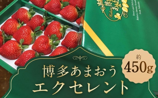 【期間限定】 博多 あまおう いちご エクセレント 約450g×1パック 苺 イチゴ 果物 フルーツ 【2027年1月下旬~2月下旬発送】