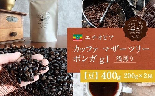 【 豆 】 エチオピア カッファ マザーツリー ボンガ g1 ( 浅煎り ) 400g ( 200g × 2袋 ) コーヒー 珈琲 COFFEE coffee コーヒー豆 焙煎 スペシャルティコーヒー ホットコーヒー アイスコーヒー 飲料 自家焙煎 コーヒータイム ティータイム
