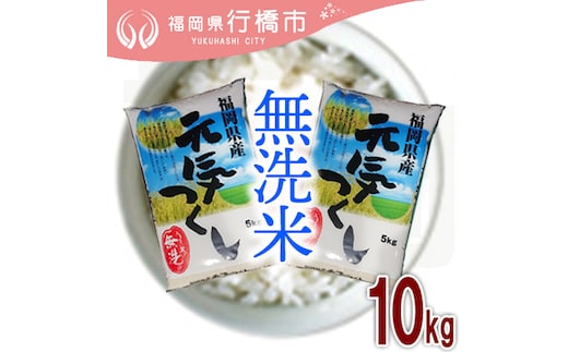 AF-008 福岡県産元気つくし【無洗米】10kg