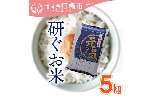 AF-018 福岡県産元気つくし【研ぐお米】5kg