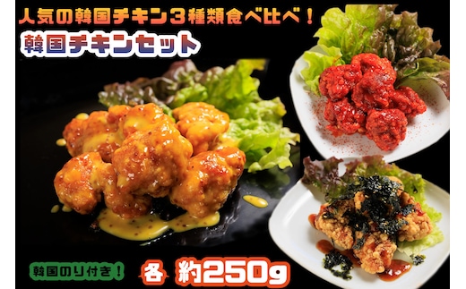 AS-008 人気の韓国チキン3種類食べ比べ！韓国チキンセット