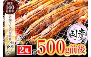 AU-065 【当店オリジナル味付け】九州産・鰻の蒲焼2尾（計500g前後）
