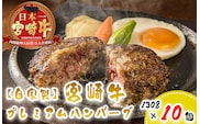 BD-030 【自家製】宮崎牛プレミアムハンバーグ１０個