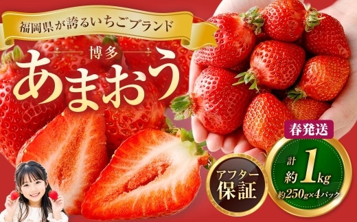 博多 あまおう 4パック(春)【2027年2月上旬~2027年4月下旬発送予定】