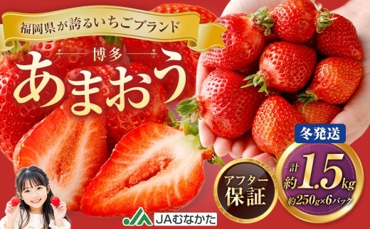 博多 あまおう 6パック(冬)【2026年12月上旬~2027年1月下旬発送予定】