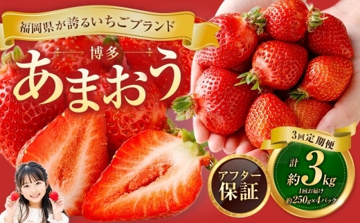 【3回定期便】博多 あまおう 4パック【2027年2月上旬~2027年4月下旬発送予定】