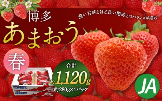 博多 あまおう 4パック(春)【2026年2月上旬~4月下旬発送予定】
