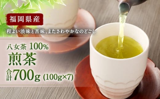 福岡県産 八女茶 100% 煎茶 700g(100g×7袋) 大容量