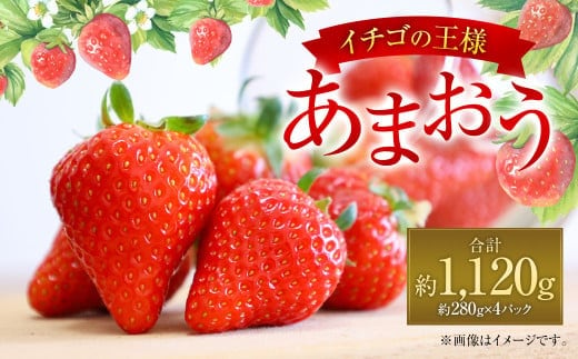 福岡県産 あまおう 約280g×4パック 合計1120g 果物 くだもの フルーツ 苺 いちご イチゴ ストロベリー デザート 福岡県 太宰府市【2027年1月上旬~4月上旬発送予定】