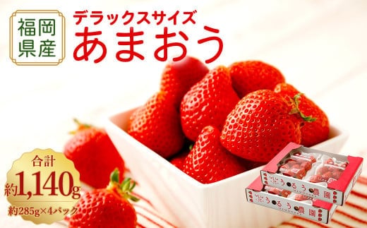 【アフター保証】うるう農園 あまおう DX等級 4パック (約1140g)【2025年12月上旬~2026年1月下旬発送予定】 いちご イチゴ 苺 フルーツ 果物