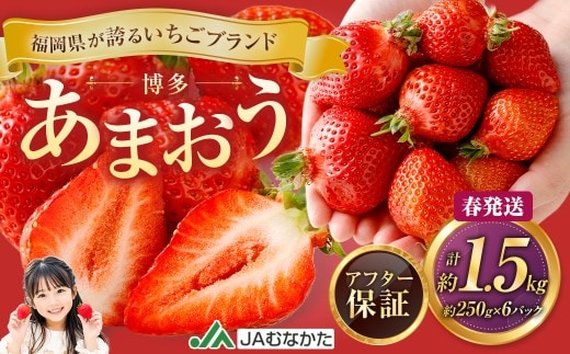博多 あまおう 6パック(春)【2027年2月上旬~2027年4月下旬発送予定】