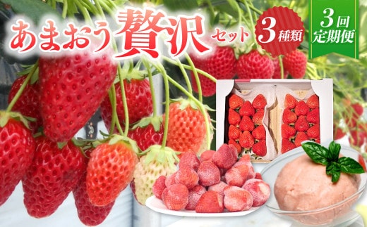 【予約受付・3回定期便】あまおう 贅沢セット いちご イチゴ フルーツ 果物【2026年3月上旬~7月下旬発送予定】