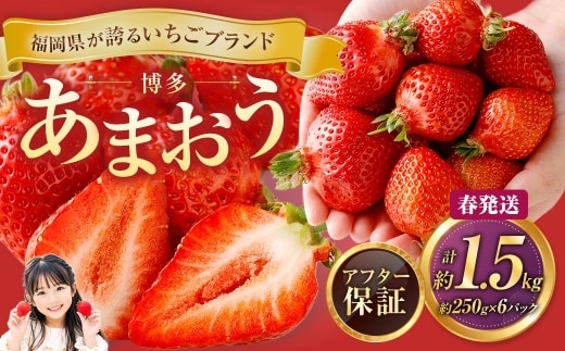 博多 あまおう 6パック(春)【2027年2月上旬~2027年4月下旬発送予定】