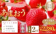 【2回定期便】 うるう農園のあまおう サイズ色々4パック (計約1140g) 【2027年3月上旬~4月下旬発送予定】 あまおう いちご 苺 果物 フルーツ 定期便 冷蔵 福岡県 太宰府