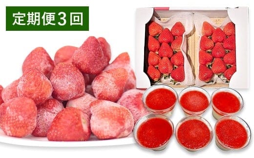 【予約受付・3回定期便】 あまおう 贅沢セット No2 冷凍あまおう あまおうレアチーズケーキ フルーツ 果物【2026年3月上旬~7月下旬発送予定】