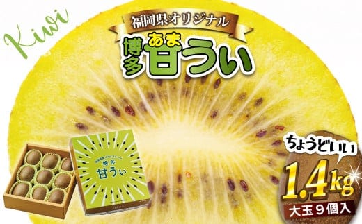 福岡県ブランドキウイフルーツ「 博多甘うぃ 」 化粧箱 大玉 9玉 約1.4kg 【2026年11月上旬~11月下旬発送予定】