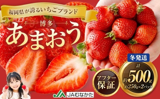 博多 あまおう 2パック(冬)【2026年12月上旬~2027年1月下旬発送予定】