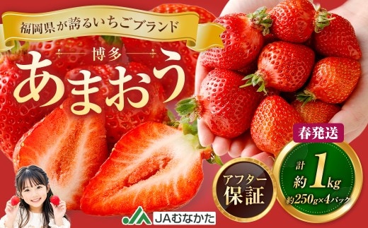 博多 あまおう 4パック(春)【2027年2月上旬~2027年4月下旬発送予定】