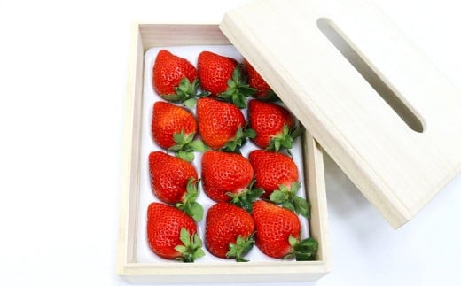 ティッシュボックス用 特別仕様の桐箱入り プレミアム あまおう 約400g×1パック【ギフト・お祝い・贈答用】【2026年2月上旬~4月上旬発送予定】