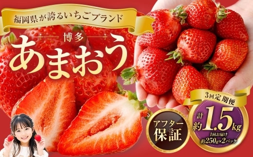 【3回定期便】博多 あまおう 2パック【2027年2月上旬~2027年4月下旬発送予定】