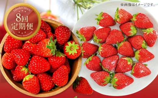 【8回定期便】 【いちごの定期便】 福岡県産あまおう (フレッシュあまおう・冷凍あまおう) 【2026年1月上旬~9月下旬発送】 いちご イチゴ 冷凍いちご あまおう 冷凍あまおう 果物 くだもの 国産 福岡県産 定期便 冷蔵 冷凍