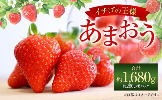 福岡県産 あまおう 約280g×6パック 合計1680g 果物 くだもの フルーツ 苺 いちご イチゴ ストロベリー デザート 福岡県 太宰府市【2027年1月上旬~4月上旬発送予定】