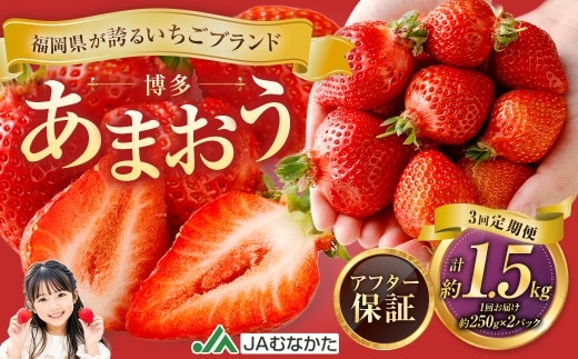 【3回定期便】博多 あまおう 2パック【2027年2月上旬~2027年4月下旬発送予定】