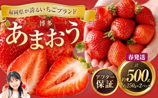 博多 あまおう 2パック(春)【2027年2月上旬~2027年4月下旬発送予定】