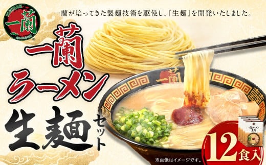 【寄附額改定↓】一蘭ラーメン生麺セット (12食入) 一蘭 ラーメン 生麺 麺 豚骨