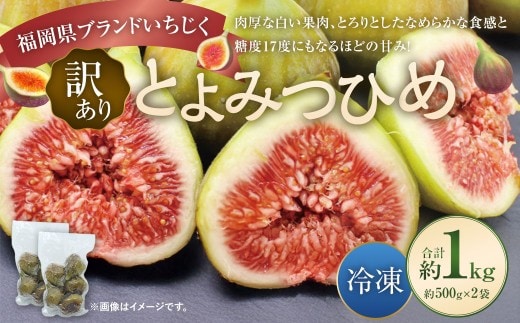 【訳あり】 冷凍いちじく 「とよみつひめ」 1kg (500g×2袋) / いちじく イチジク 果物 果実 フルーツ 冷凍フルーツ 冷凍
