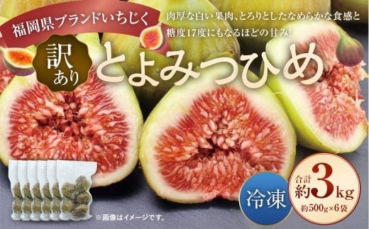 【訳あり】 冷凍いちじく 「とよみつひめ」 3kg (500g×6袋) / いちじく イチジク 果物 果実 フルーツ 冷凍フルーツ 冷凍