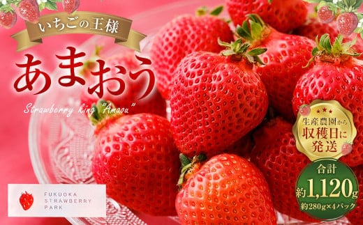 【1月~2月発送】いちごの王様 あまおう 約280g×4パック 約1120g【2026年1月上旬~2026年2月下旬発送予定】 いちご イチゴ 苺 フルーツ