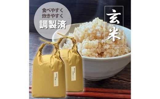 【令和7年産】福岡県産 【特A】評価のお米「元気つくし」5kg×2袋(10kg)玄米 お米 米