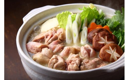 福岡限定! はかた地どり 水炊き セット 3~4人前 鳥 肉 鶏肉 地鶏 鍋 国産