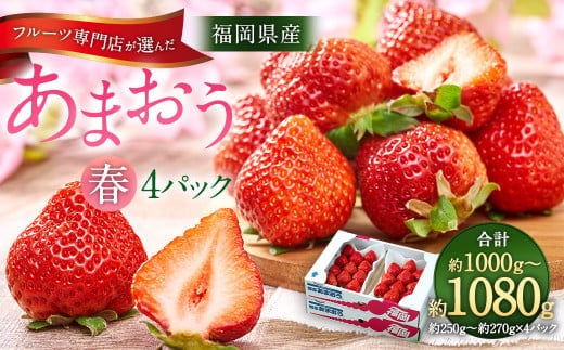 福岡産【春】 フルーツ専門店が選んだ あまおう 4パック いちご 苺 果物 フルーツ 福岡 太宰府【2026年2月上旬~3月下旬発送予定】