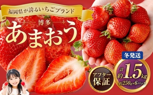 博多 あまおう 6パック(冬)【2026年12月上旬~2027年1月下旬発送予定】