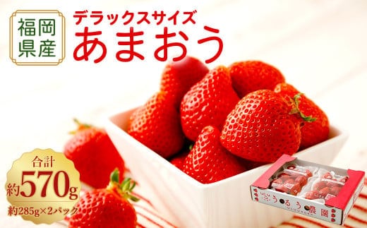 【アフター保証】うるう農園 あまおう DX等級 2パック (約570g)【2025年12月上旬~2026年1月下旬発送予定】 いちご イチゴ 苺 フルーツ 果物