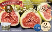【訳あり】 冷凍いちじく 「とよみつひめ」 2kg (500g×4袋) /   いちじく イチジク 果物 果実 フルーツ 冷凍フルーツ 冷凍